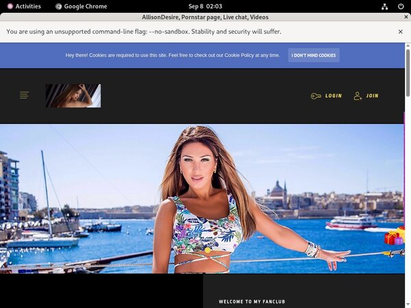 Allisondesire.modelcentro.com Automatische Kassen