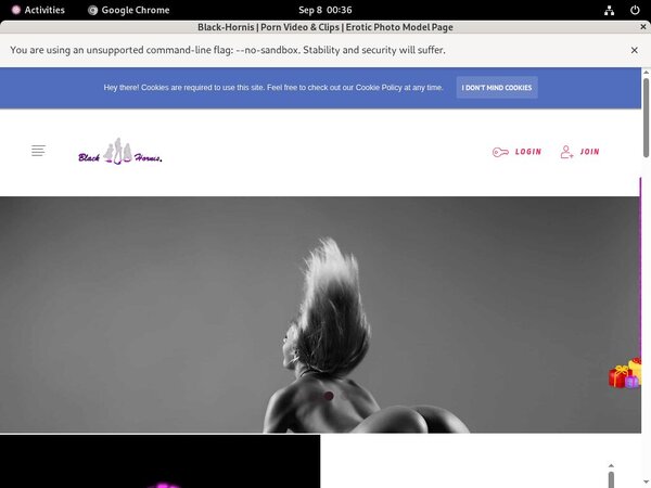 B L A C K - H O R N I S Instant Access