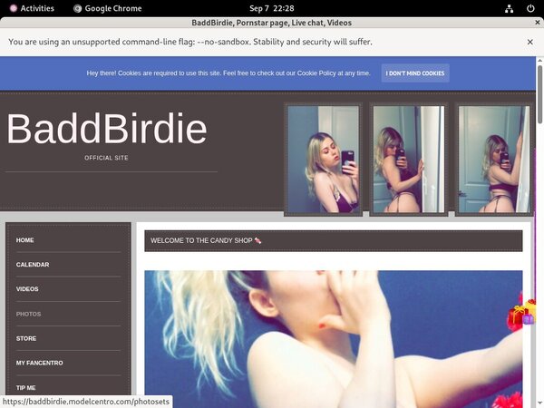 BaddBirdie Web