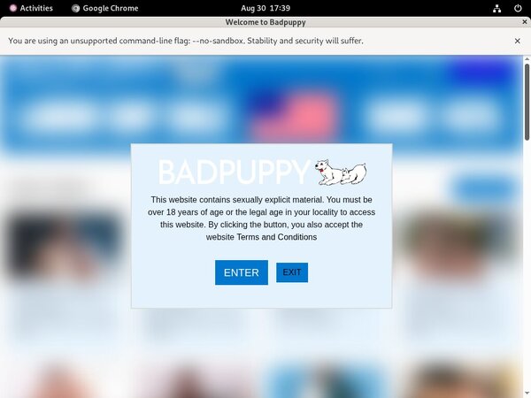 Badpuppy Account Login