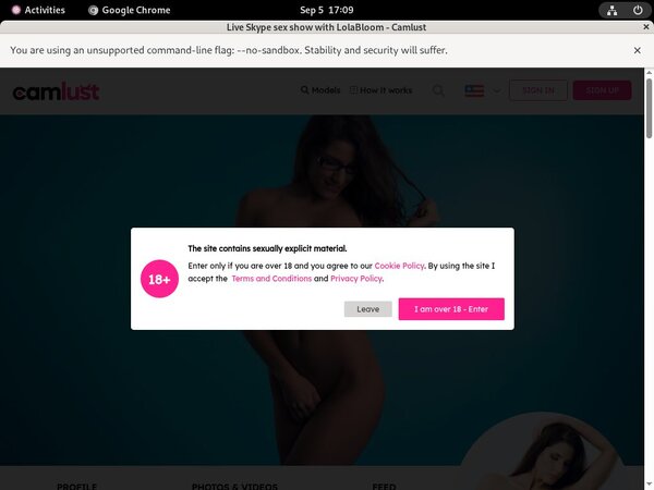 Camlust.com Passwords 2017