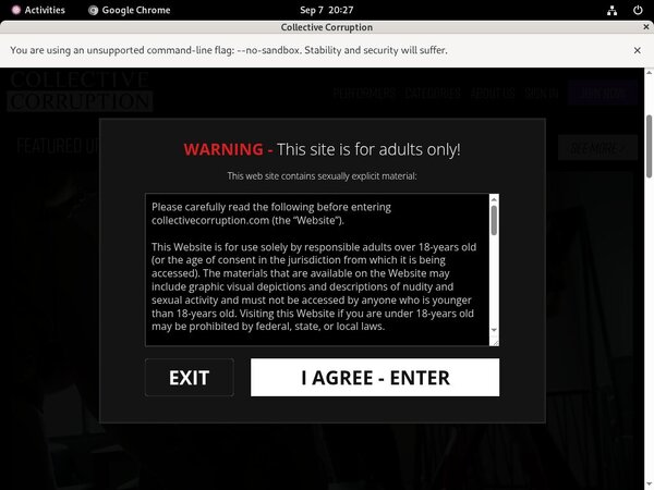 Collectivecorruption.com Official Site