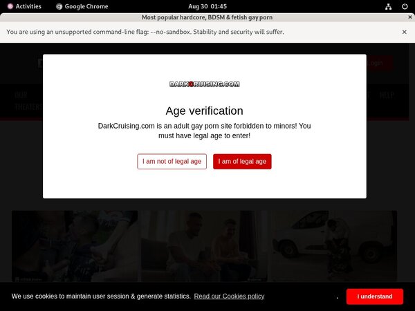 Dark Cruising Login Passwords