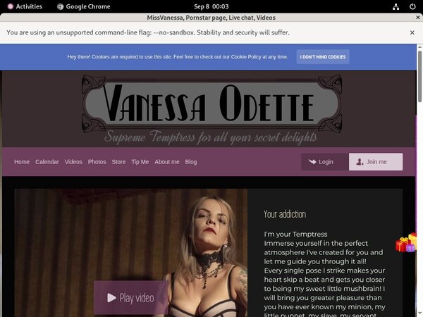 Discount On MissVanessa
