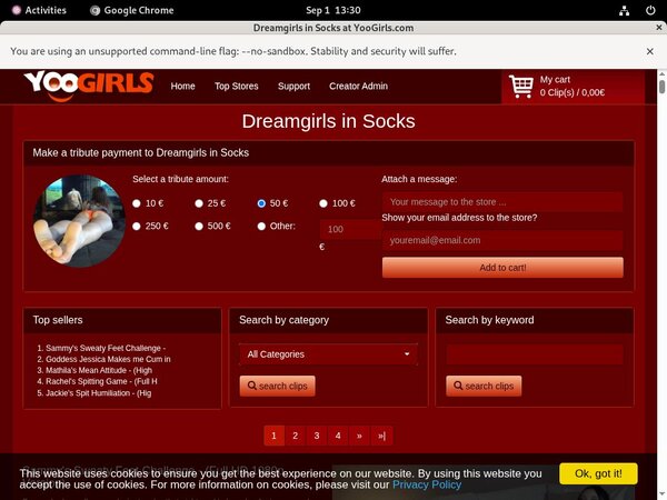 Dreamgirls In Socks Register