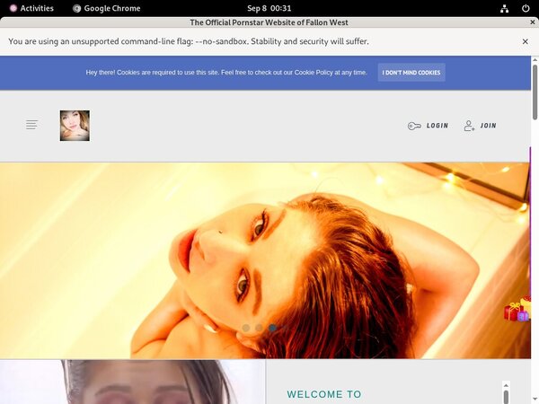 Fallonfuckingwest.com Telephone Billing