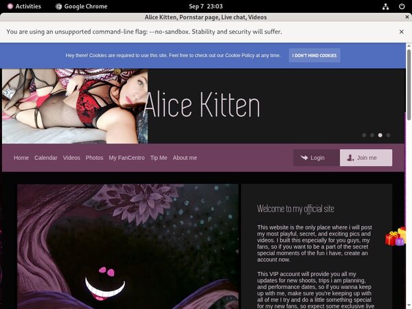 Free Alice Kitten Login Accounts