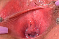 Free Gapemypussy.com Porn Accounts s3