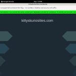 Free Kitty’s Kuriosities Id And Password