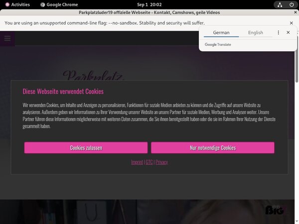 Free Working Parkplatzluder19 Accounts