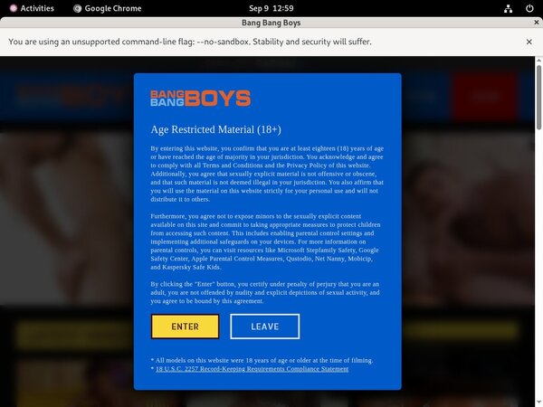 Get Bangbangboys.com Free Logins