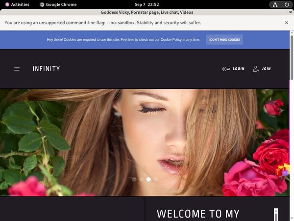 Goddess Vicky Checkout Page