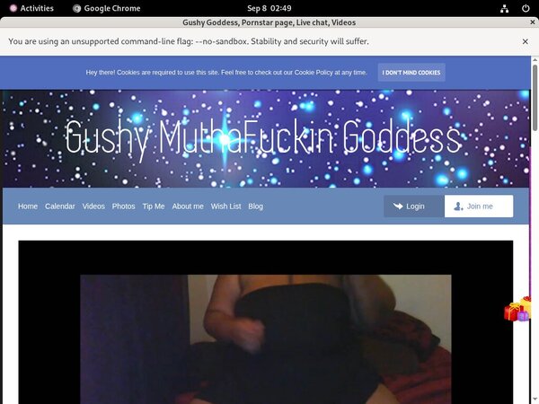 Gushy Goddess Paypal Option