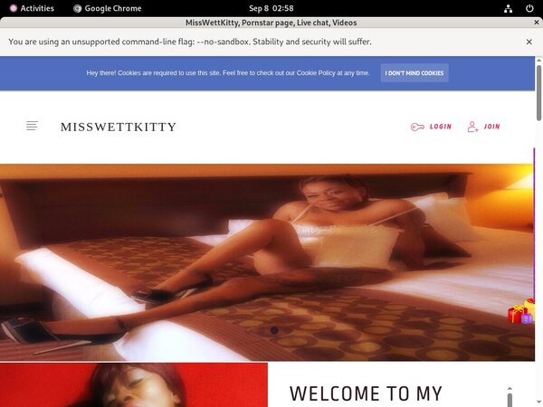 Id MissWettKitty