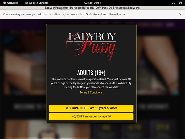 Ladyboy Pussy Payporn Discount