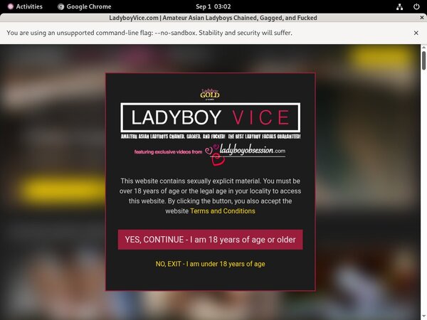 Ladyboy Vice Discount Free Offer