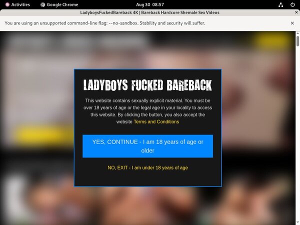 Ladyboysfuckedbareback.com Login Account