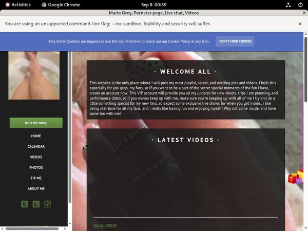 Marlogrey.modelcentro.com Passwords 2018