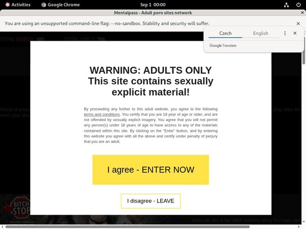 Mentalpass Promotion