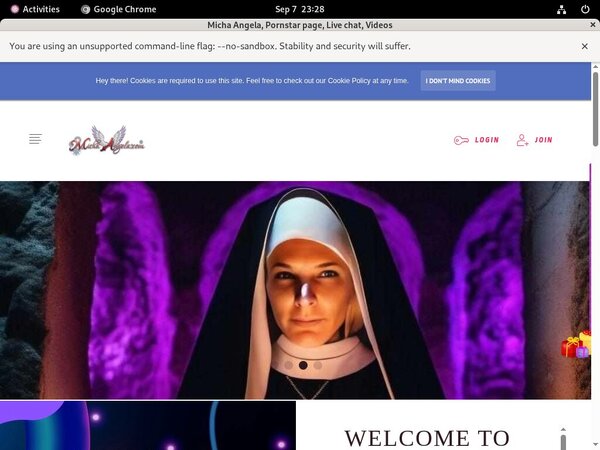 MichaAngela Accounts Password