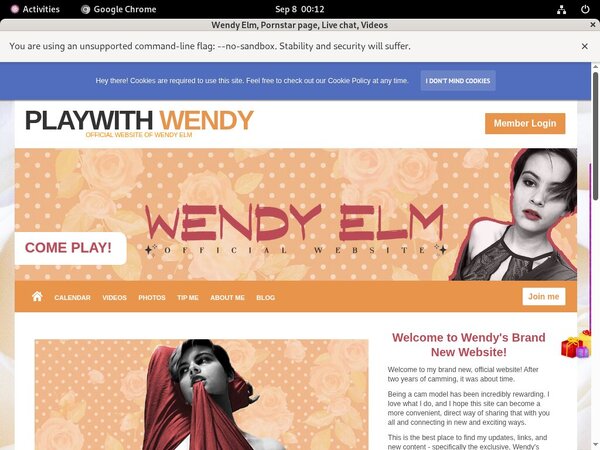 Playwithwendy.modelcentro.com Hack Login