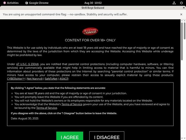 Real Str8boyzseduced.com Accounts