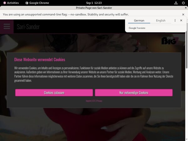 Sari-sander.com Pornstar
