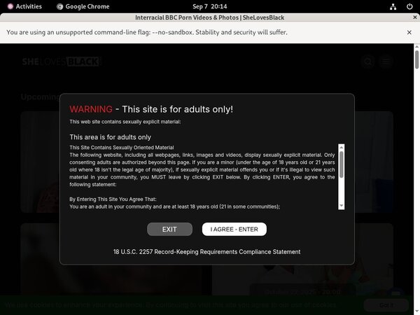 Shelovesblack Porn Pass