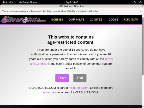 Silversluts.com Live Cams