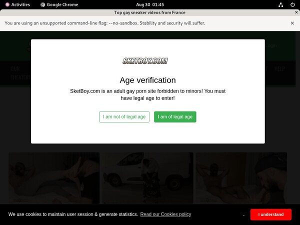 Sketboy Latest Passwords