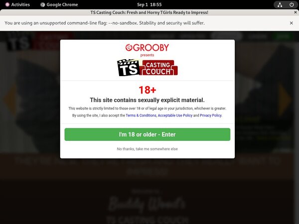 TS Casting Couch Free Ones