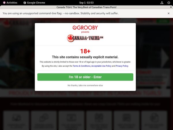 Tgirlcanada Discount Save 50%