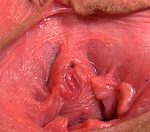 Use Gape My Pussy Discount Link