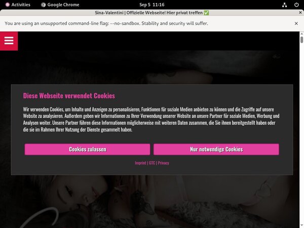 Videos SinaValentini Free