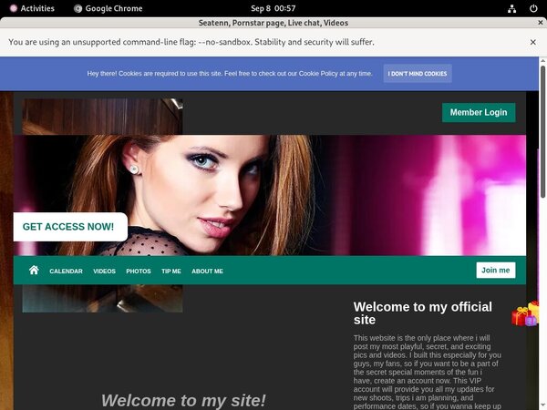 Www Seatenn.modelcentro.com