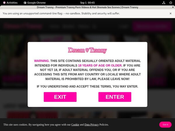 Dreamtranny Limited Discount