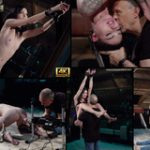 Subspace Land Male Pornstars